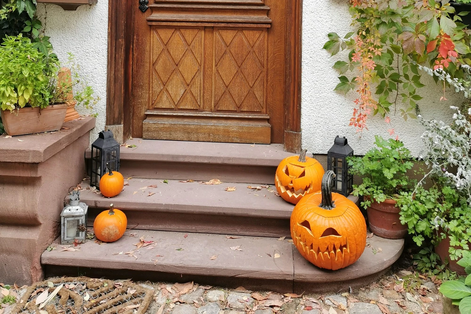 Real front steps with carved orange pumpkins, black lanterns, a wooden door and leafy plants